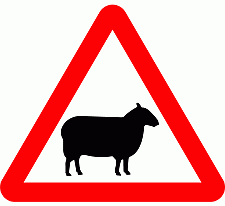 Road Signs | triangular warning signs | Beware of Sheep