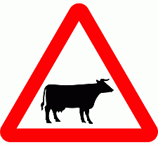 Road Signs | triangular warning signs | Beware of Cattle