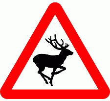 Road Signs | triangular warning signs | Beware of Wild animals