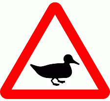 Road Signs | triangular warning signs | Beware of Wild fowl